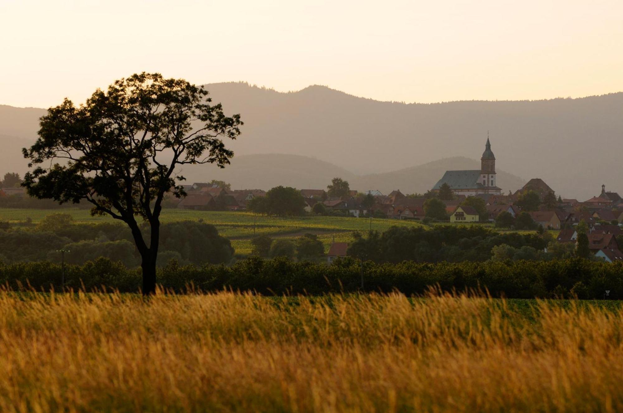 Gite Elouann Familial Spacieux Calme Ebersheim Экстерьер фото